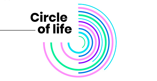 circle_of_life